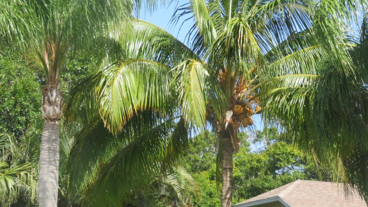 Luxury 3-Bedroom Home Near Beaches With Pool 베로 비치 외부 사진